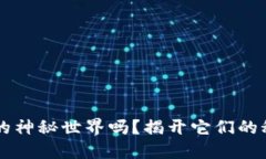 你了解比特币钱包的神秘