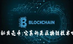 揭秘贝壳币：它真的是区