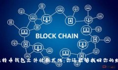 如果比特币钱包文件被格