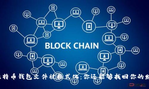 如果比特币钱包文件被格式化：你还能够找回你的财富吗？