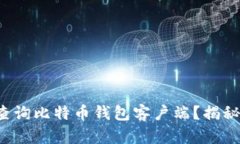 如何高效查询比特币钱包