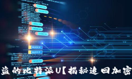   
如何找回被盗的比特派U？揭秘追回加密资产的秘密