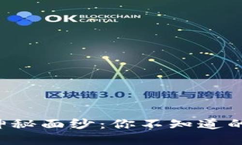 揭开新加坡区块链的神秘面纱：你不知道的最新发展与未来趋势！