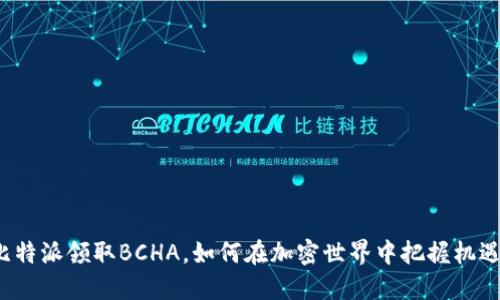 比特派领取BCHA，如何在加密世界中把握机遇？