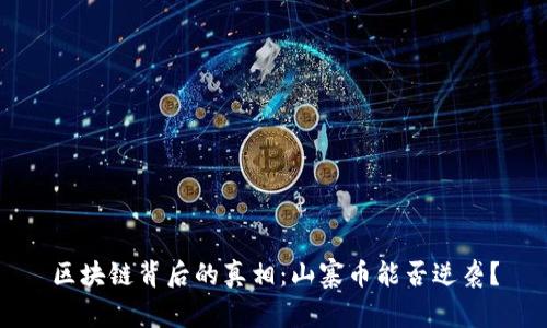 区块链背后的真相：山寨币能否逆袭？