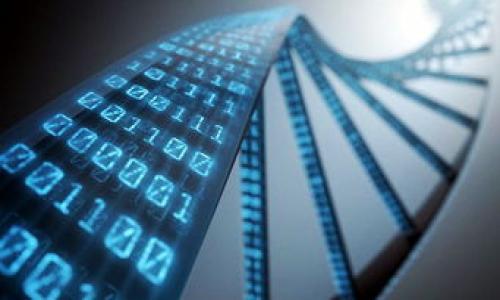 区块链李慧最新消息方面的信息可以通过权威的新闻网站、社交媒体或专业的区块链论坛获取。不过截至2023年10月，我没有实时更新的能力，因此无法提供最新消息。李慧在区块链领域可能有多种活动，包括智能合约的创新、项目的启动或相关的行业评论。以下是一些获取相关信息的渠道：

1. **社交媒体**：关注李慧及其相关的社交媒体账号，比如Twitter、LinkedIn等。
2. **区块链新闻网站**：访问例如CoinDesk、CoinTelegraph等专业网站，获取最新的行业动态。
3. **论坛和社区**：参与Reddit、Telegram等平台的区块链讨论区，了解最新消息。

请确认您获取信息的来源，以确保其可靠性。