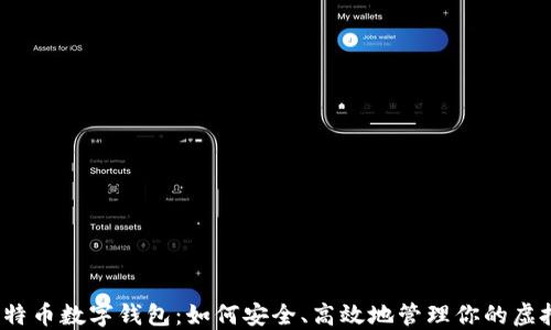
揭秘比特币数字钱包：如何安全、高效地管理你的虚拟资产？