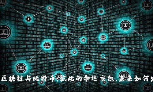 揭秘区块链与比特币：彼此的命运交织，未来如何发展？