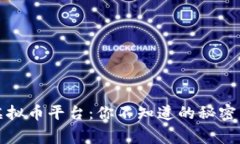 国家承认的虚拟币平台：