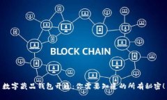 数字藏品钱包开通：你需