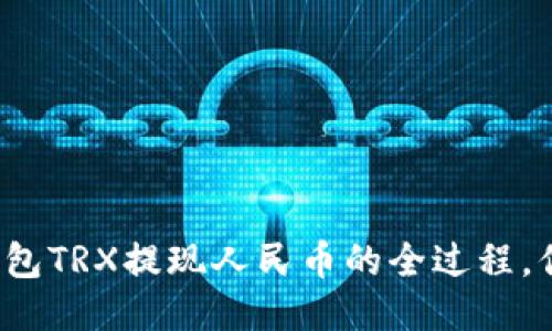 揭秘比特派钱包TRX提现人民币的全过程，你准备好了吗？