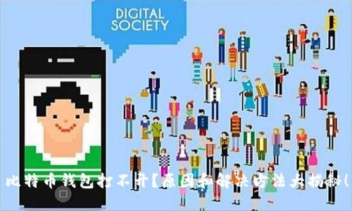 比特币钱包打不开？原因和解决方法大揭秘！