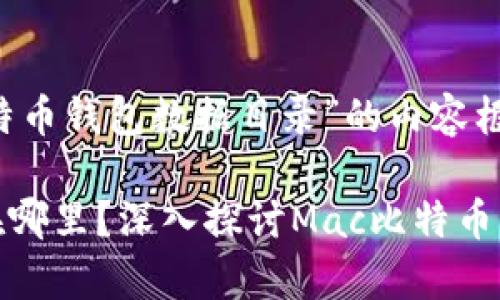 以下是关于“Mac比特币钱包数据目录”的内容框架和相关信息：

你的比特币钱包藏在哪里？深入探讨Mac比特币钱包数据目录的奥秘