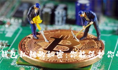 数字货币钱包私钥的秘密：你能保护你的资产吗？