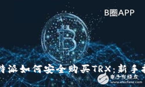 比特派如何安全购买TRX：新手指南