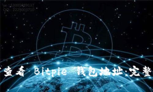 如何查看 Bitpie 钱包地址：完整指南