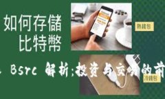 比特派 Bsrc 解析：投资与