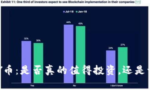 深入解析VPAY币：是否真的值得投资，还是一个暴富圈套？