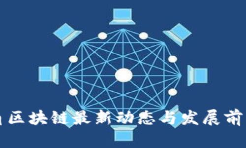 长三角区块链最新动态与发展前景分析