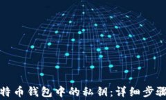 如何导出比特币钱包中的