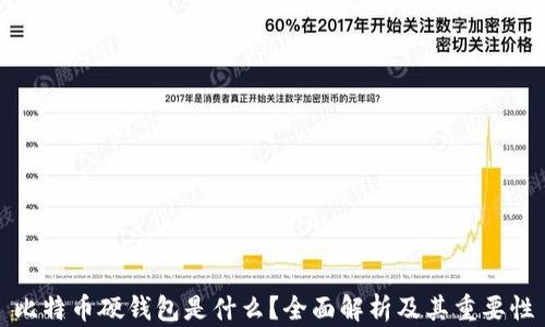 
比特币硬钱包是什么？全面解析及其重要性