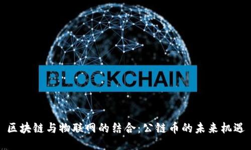 区块链与物联网的结合：公链币的未来机遇