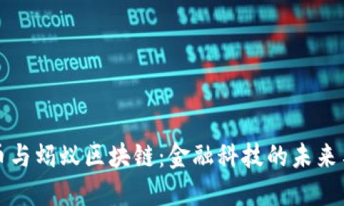 比特币与蚂蚁区块链：金融科技的未来与挑战