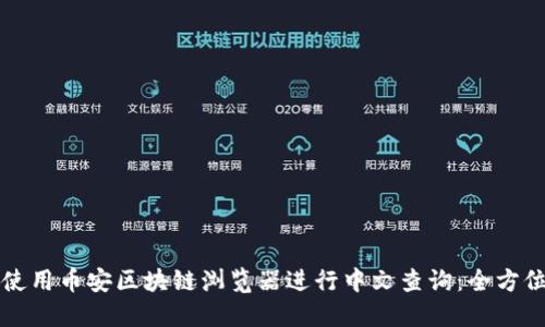 如何使用币安区块链浏览器进行中文查询：全方位指南