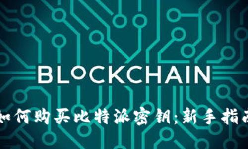 如何购买比特派密钥：新手指南