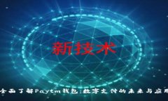 全面了解Paytm钱包：数字支
