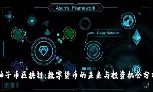 柚子币区块链：数字货币的未来与投资机会分析