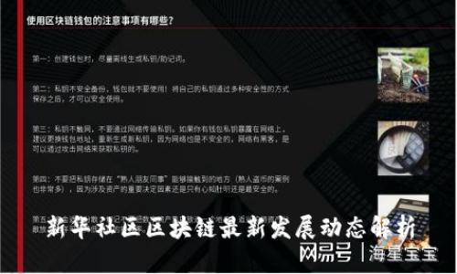 新华社区区块链最新发展动态解析