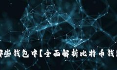 比特币存在哪些钱包中？