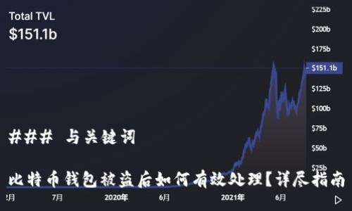 ### 与关键词

比特币钱包被盗后如何有效处理？详尽指南