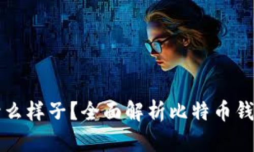 比特币钱包ID长什么样子？全面解析比特币钱包ID的格式与功能