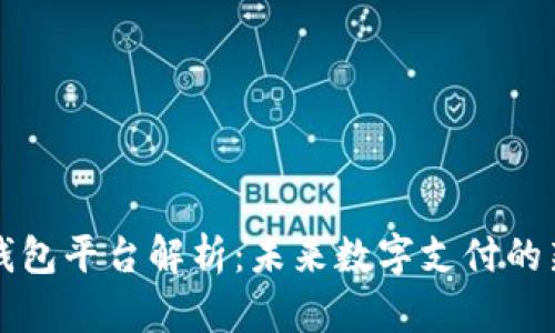 智能钱包平台解析：未来数字支付的新时代