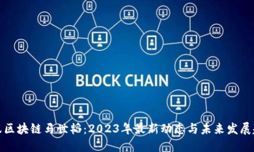 蚂蚁区块链马世韬：2023年最新动态与未来发展趋势
