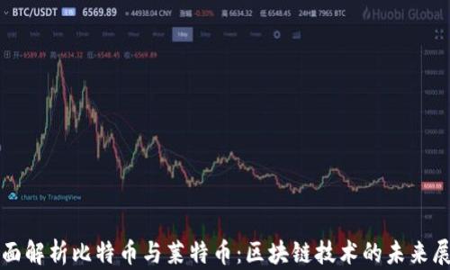 
全面解析比特币与莱特币：区块链技术的未来展望
