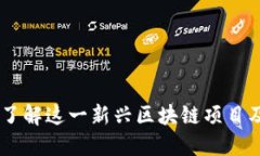 ADS币：了解这一新兴区块