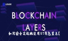 如何安全高效地使用BT钱包